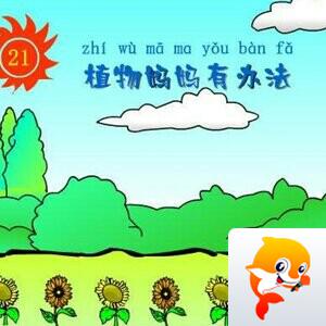 36.心语和兑✨