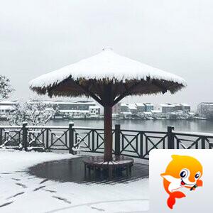 一吨阿婆【爱花家园】