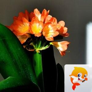 小浅🎤V娱热点