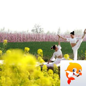 一片冰心