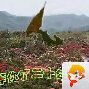 雪儿🎤V娱热点