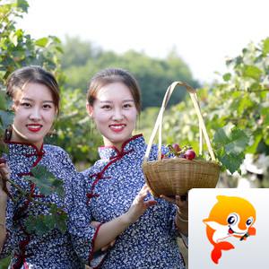 一片冰心