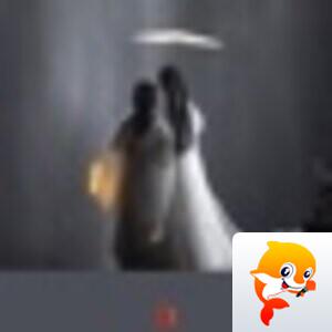 圳……【文声汇影】