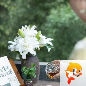 飘雪🎤V娱热点