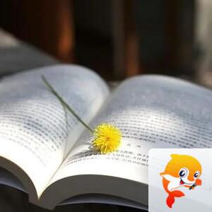 小浅🎤V娱热点