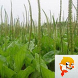 闪电
