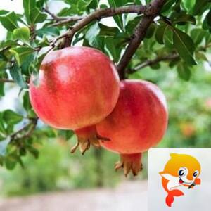 曾经🎤V娱热点