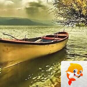 一叶小舟【爱花家园】