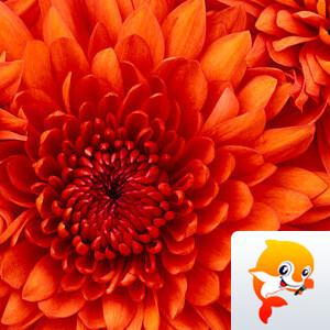 正昊🎤V娱热点