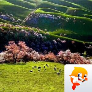 子和（勿礼 只为开心）