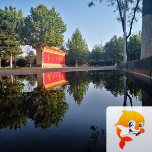 芳芳【美摄视界】