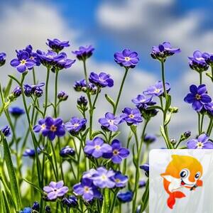 曾经🎤V娱热点