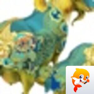 ᦦ້ᮨ꯭໌瑞声ꦿᮨ࿐温馨