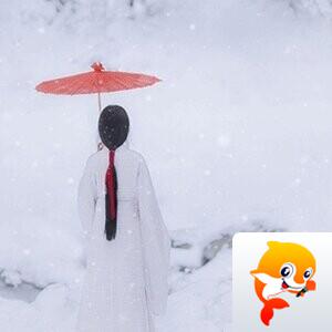 小雨【文声汇影】