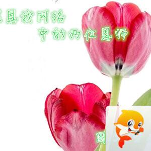 雪儿🎤V娱热点