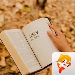 小浅🎤V娱热点