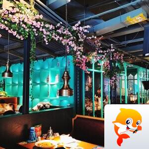 天之娇子•王民裕