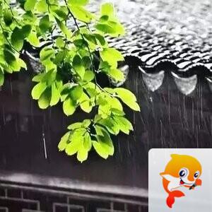 yzhong