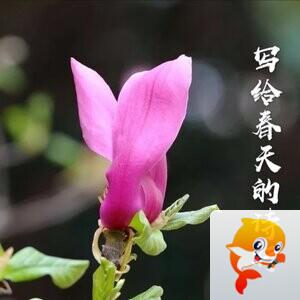 郝丽梅