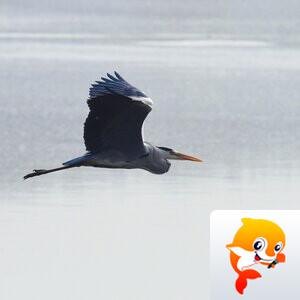 永善【美攝视界】 