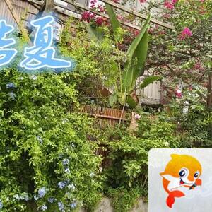 雪儿🎤V娱热点