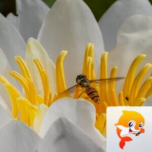知足常乐【美摄视界】