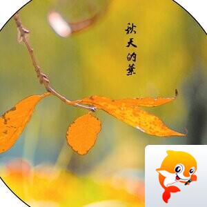 娑婆迷离【文声汇影】
