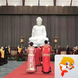 禅语人生
