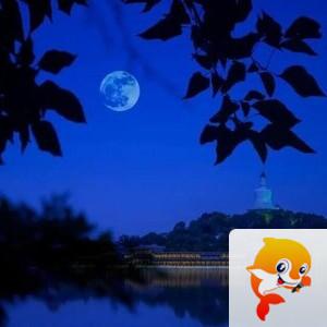 曾经🎤V娱热点