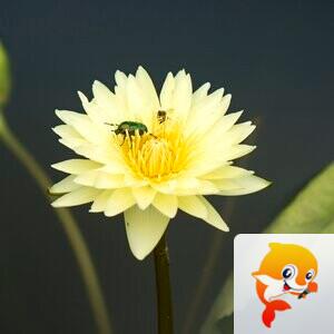 东张西望【美摄视界】