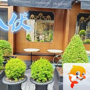 雪儿🎤V娱热点