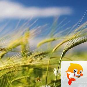 曾经🎤V娱热点