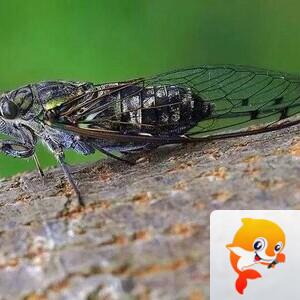 曾经🎤V娱热点