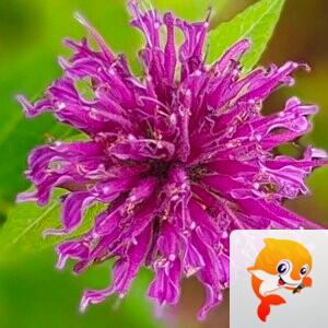 ζ᭄🦋涵钰এ⁵²⁰᭄