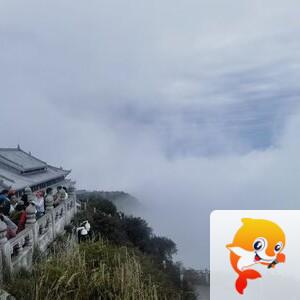 雪儿🎤V娱热点