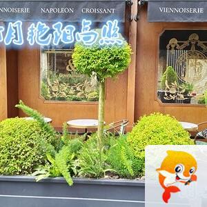 雪儿🎤V娱热点