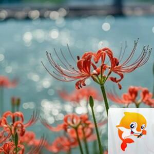 曾经🎤V娱热点