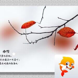 柳之影【美摄视界】