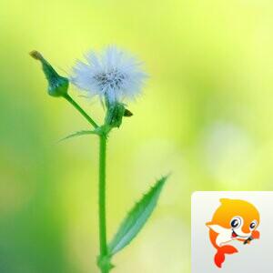 王克昌［美摄视界］