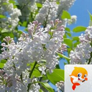 曾经🎤V娱热点