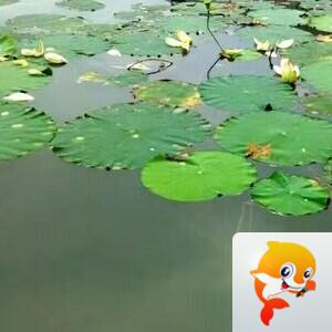 曾经🎤V娱热点