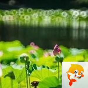 曾经🎤V娱热点