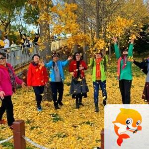 二月兰《文声汇影》