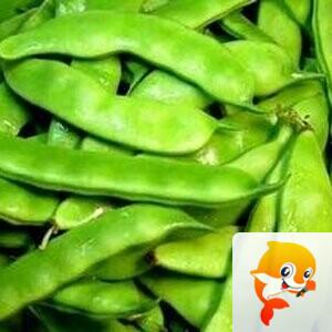 〖中国音院〗学员天使