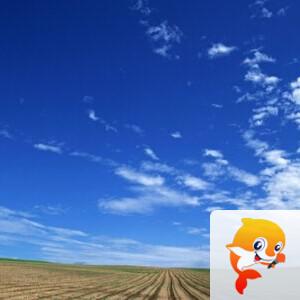 海燕🎤V娱热点