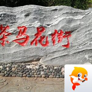 幽兰一箭香(赵放岚)