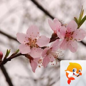 曾经🎤V娱热点