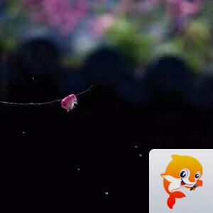 曾经🎤V娱热点