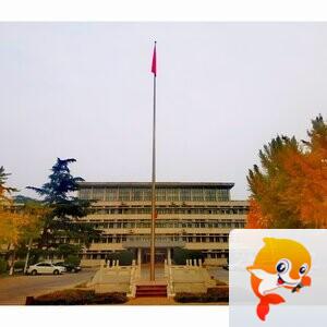 914738688晨龙