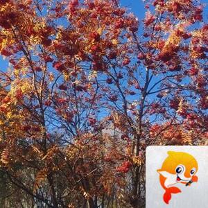 雪儿🎤V娱热点